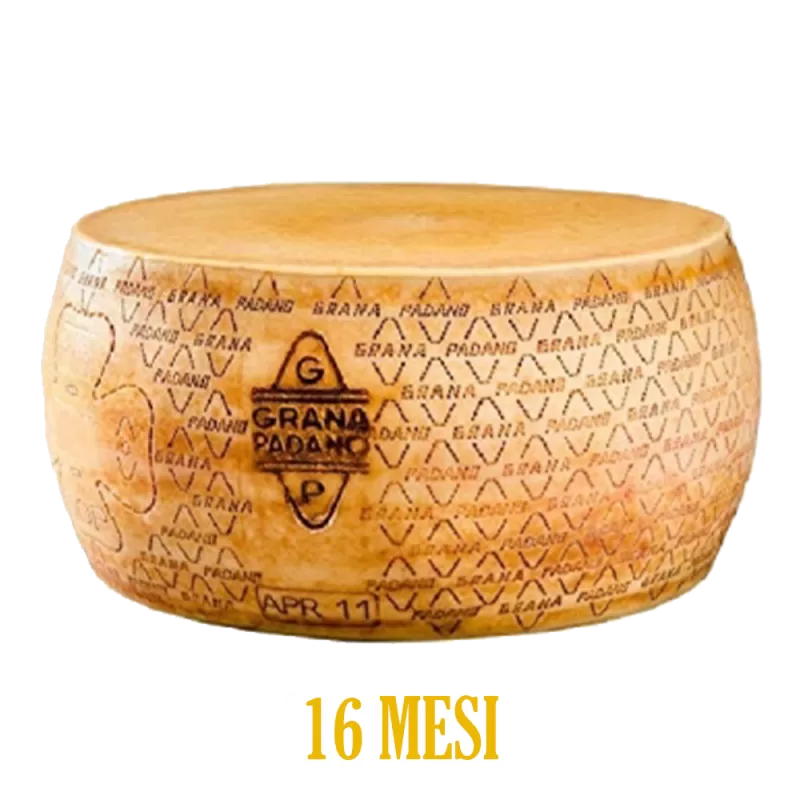 GRANA PADANO DOP 16M - Premium Food Thailand